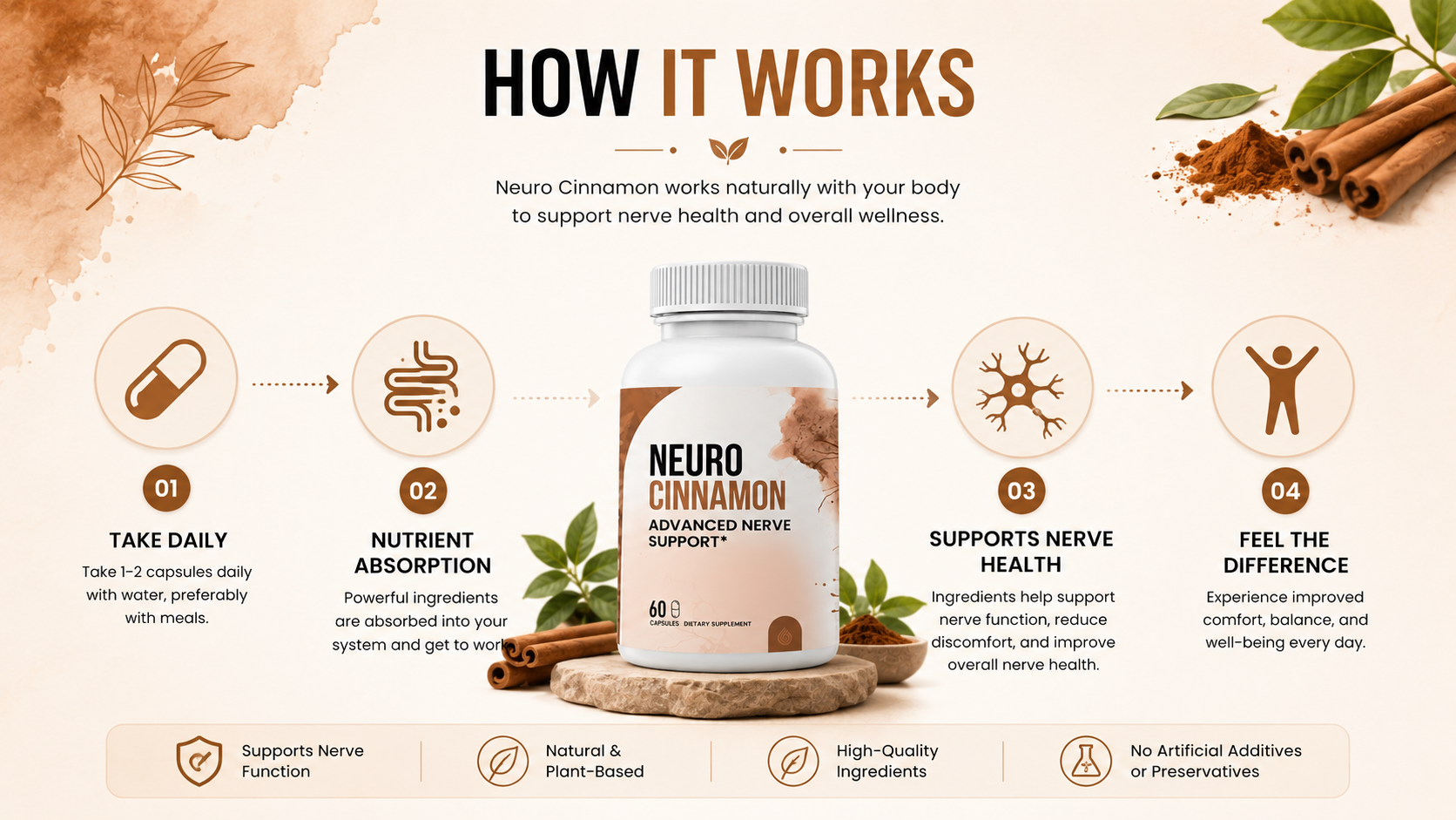 How Neuro Cinnamon works: take daily, nutrient absorption, supports nerve health, feel the difference